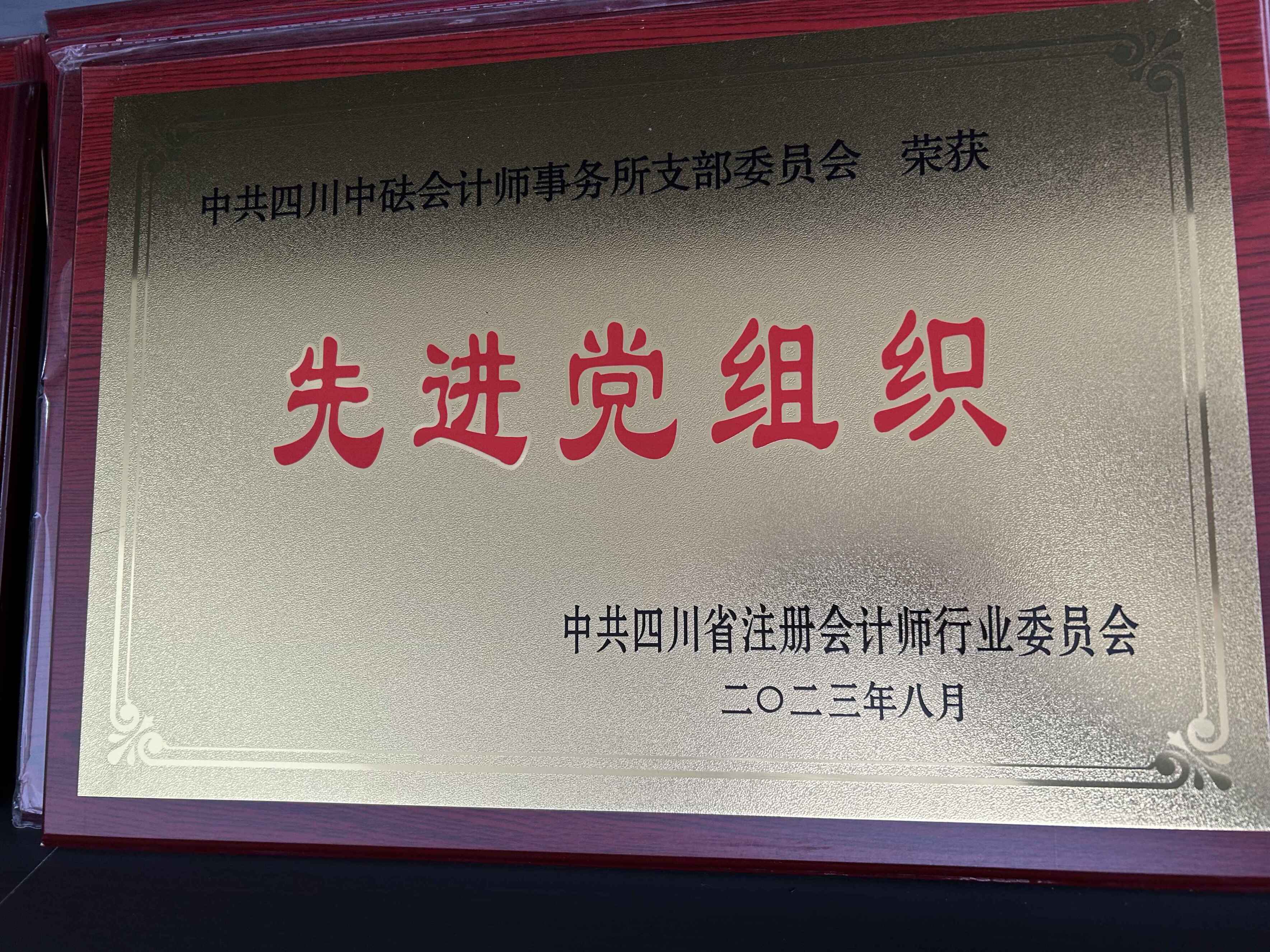 2023年先進(jìn)黨組織—中共四川省注冊會計(jì)師行業(yè)委員會